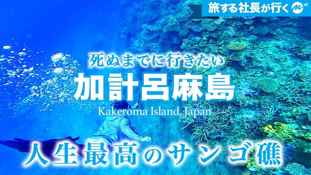 秘境すぎる加計呂麻島のオススメ観光スポット！一生に一度は見るべき絶景。とてつもないサンゴ礁【奄美群島】